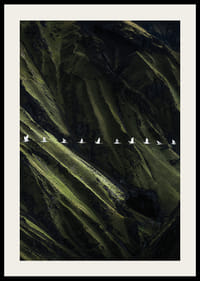 White birds soar over lush mountainsides-2