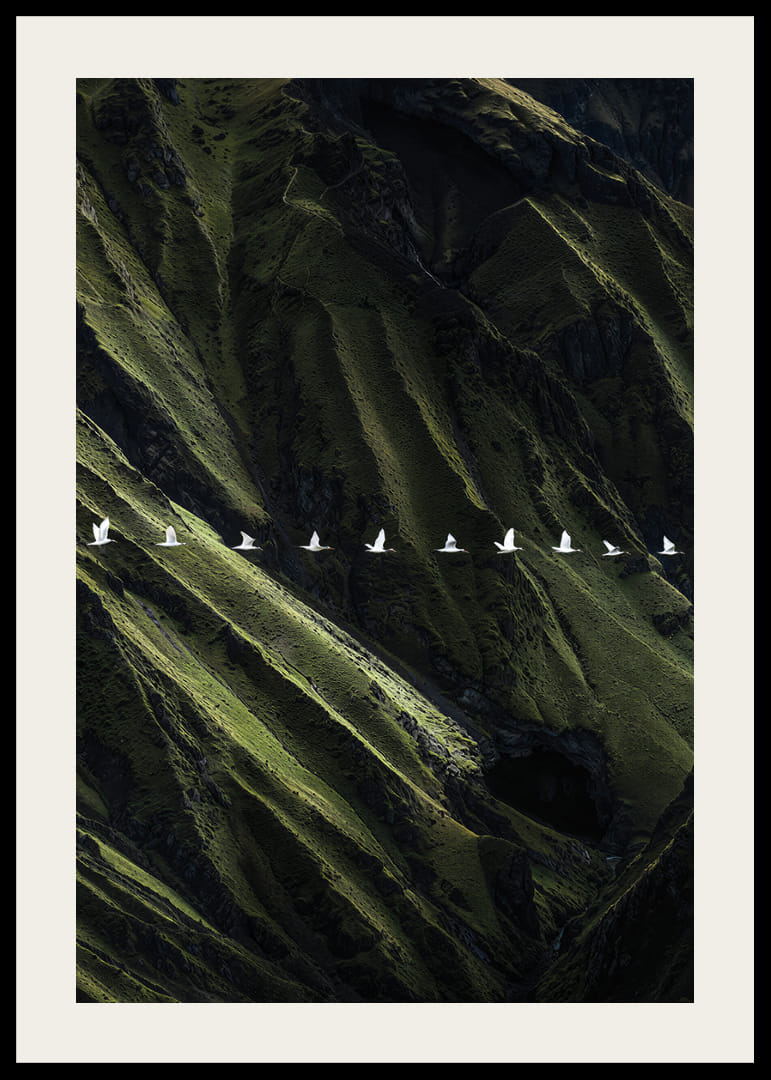 White birds soar over lush mountainsides-12