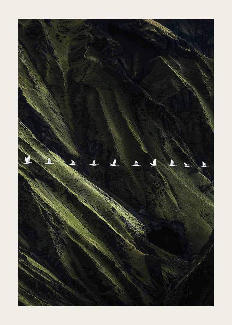 White birds soar over lush mountainsides-12