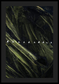 White birds soar over lush mountainsides-4