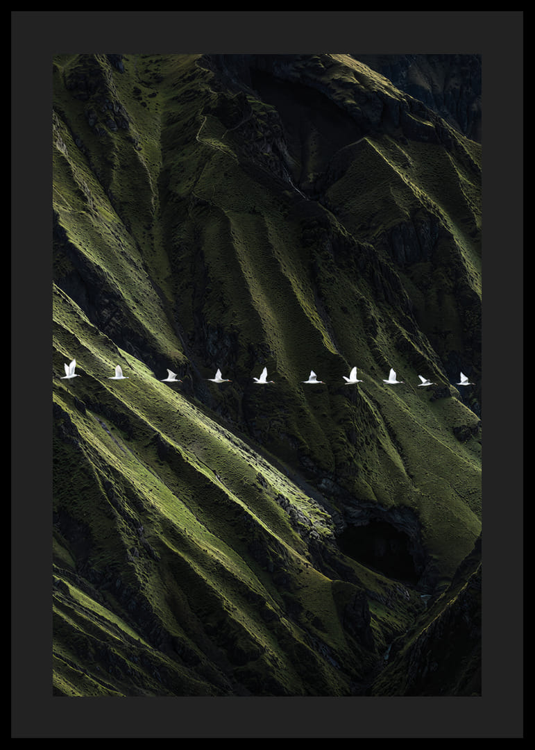 White birds soar over lush mountainsides-12