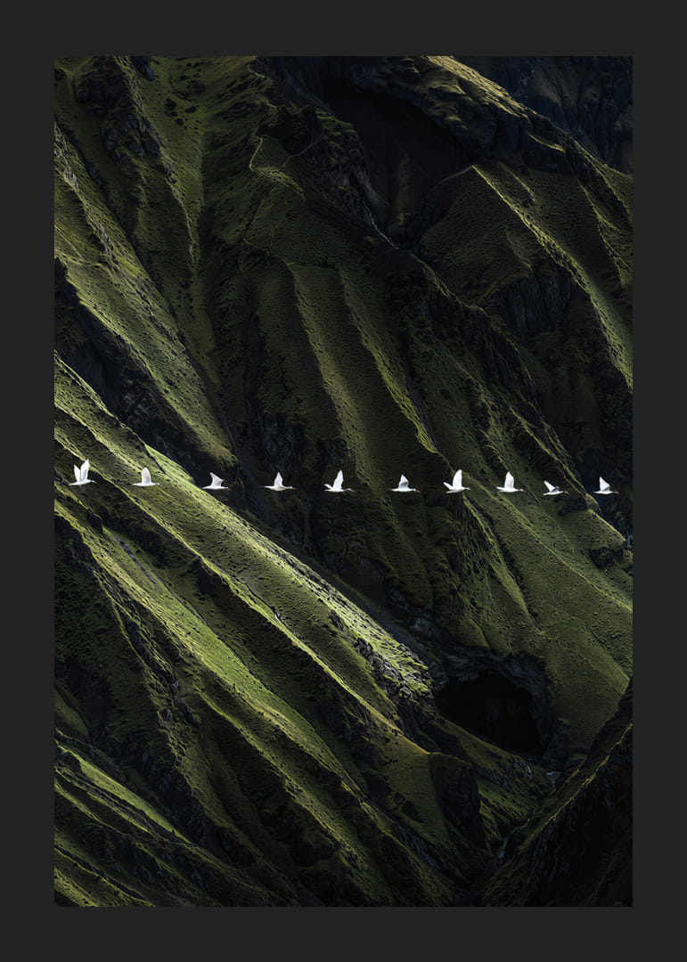 White birds soar over lush mountainsides-12