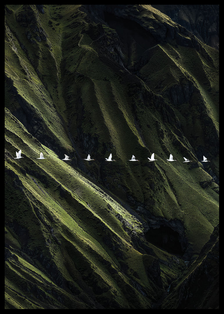 Vita fåglar svävar över frodiga bergsklättrar-12