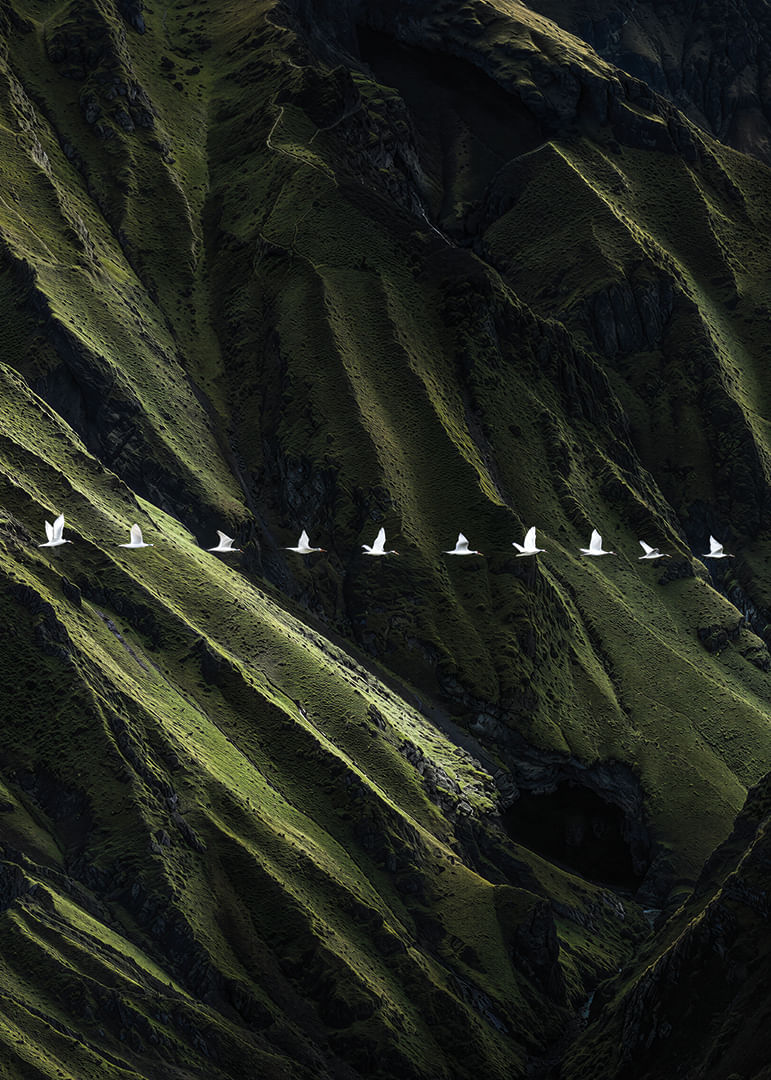 Vita fåglar svävar över frodiga bergsklättrar-12