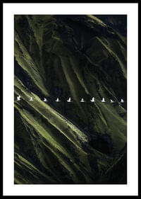 Vita fåglar svävar över frodiga bergsklättrar-0