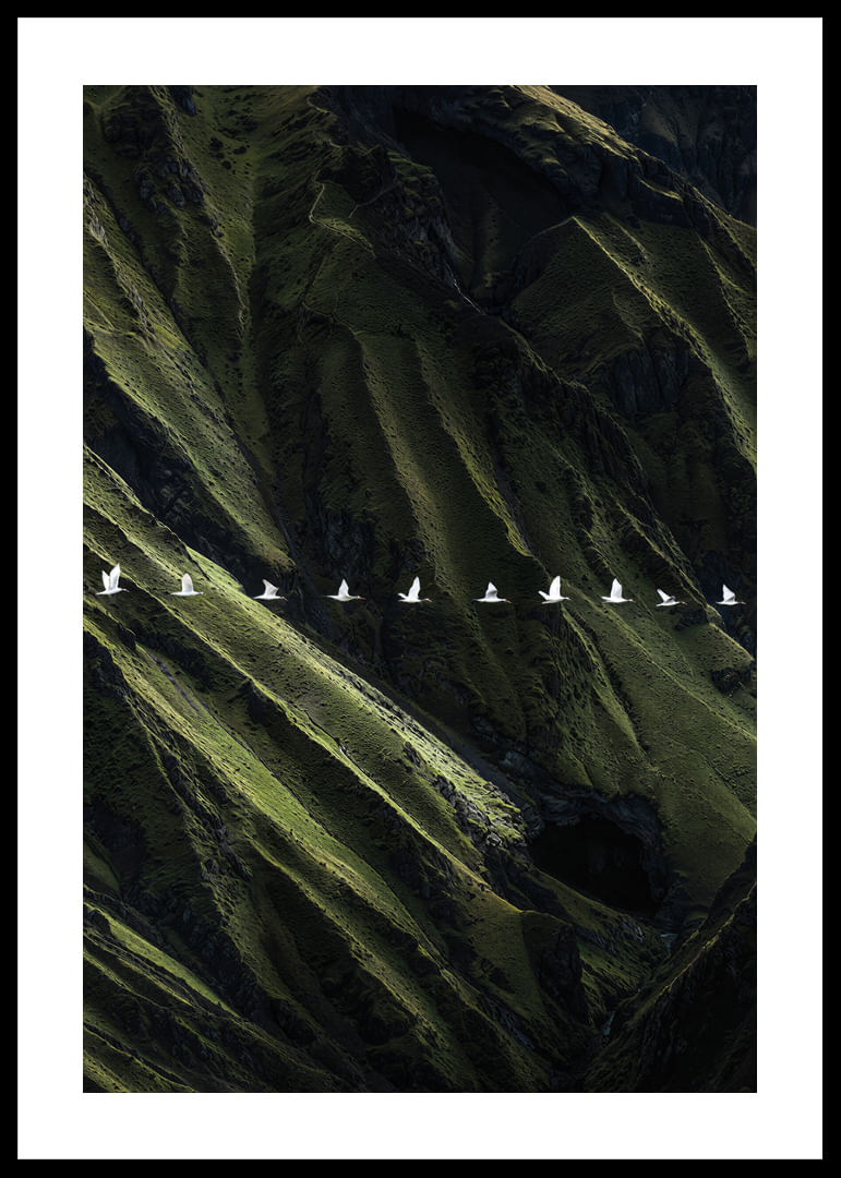 Vita fåglar svävar över frodiga bergsklättrar-12