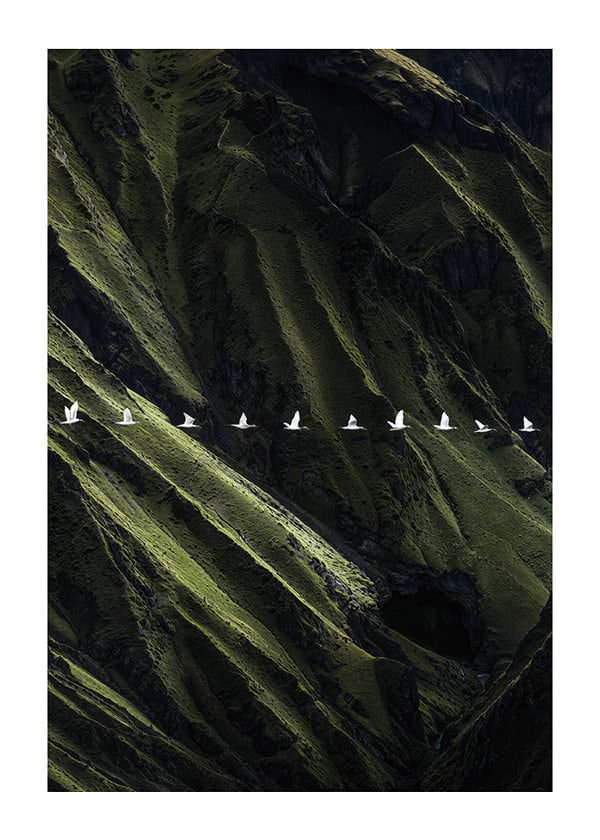 Poster Wings Over Wilderness