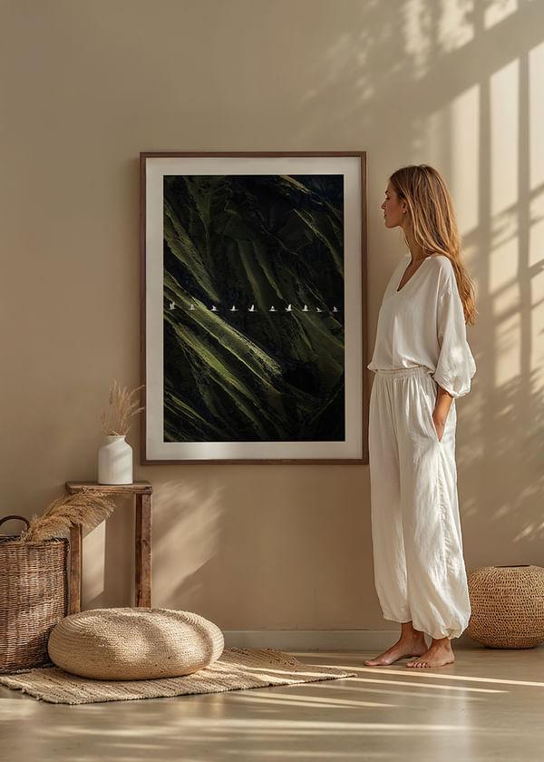 Poster Wings Over Wilderness crossfade