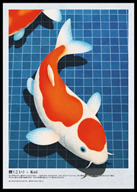 L'eleganza del pesce Koi galleggia nell'acqua ferma-0