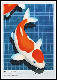 Koi-fiskens elegans flyter i det stilla vattnet-0