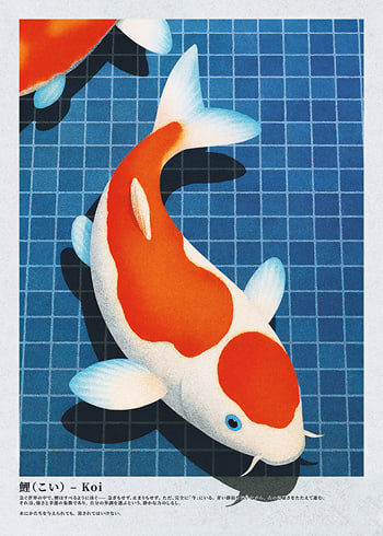 Poster Koi Serenity