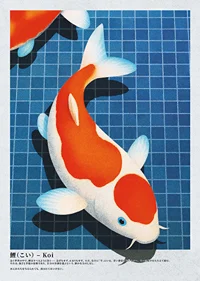 Koi-fiskens elegans flyter i det stilla vattnet-1