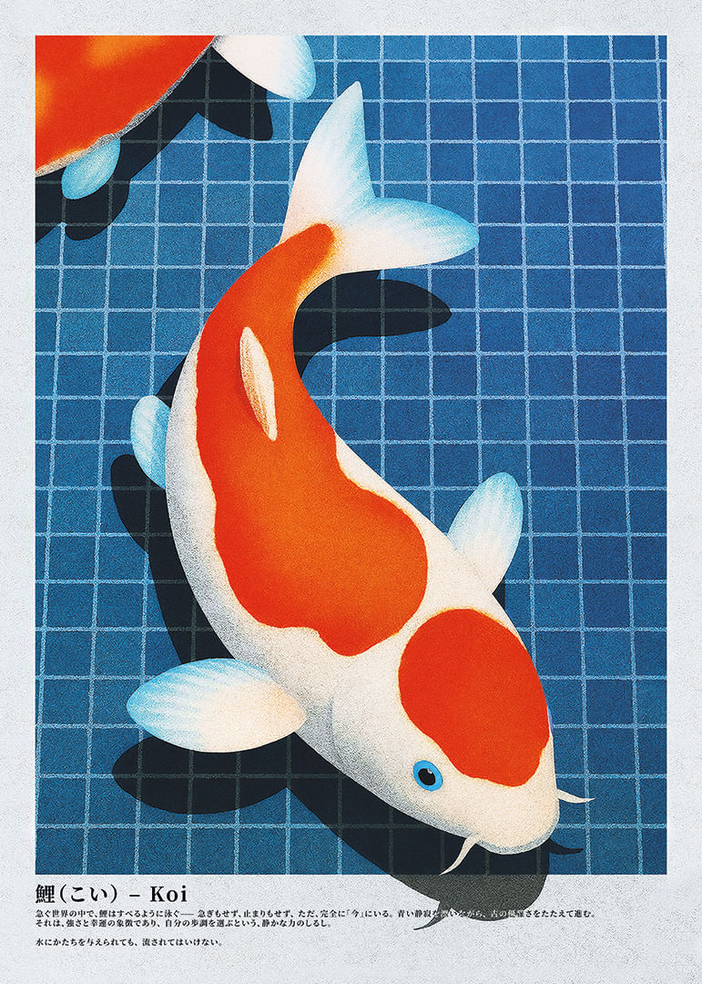 Koi-fiskens elegans flyter i det stilla vattnet-12