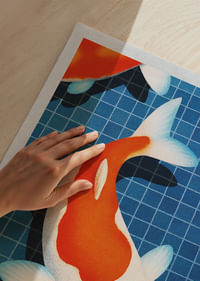 Koi-fiskens elegans flyter i det stilla vattnet-3