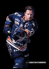 Sebastian Strandberg #29 Växjö Lakers 2025/2026-2