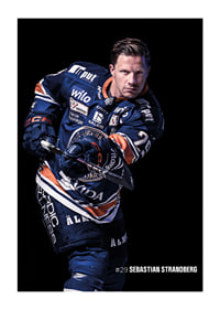 Sebastian Strandberg #29 Växjö Lakers 2025/2026-1