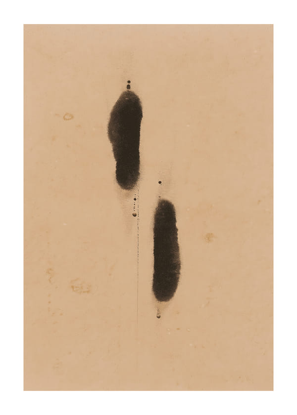 Poster Silent Trails