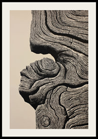 Organic lines create a sense of timeless elegance-2
