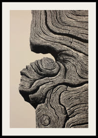 Les lignes organiques créent une impression d'élégance intemporelle-2