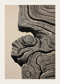 Organic lines create a sense of timeless elegance-3