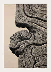 Les lignes organiques créent une impression d'élégance intemporelle-3