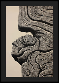 Organic lines create a sense of timeless elegance-4