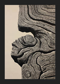 Organic lines create a sense of timeless elegance-5