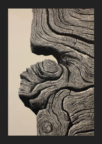 Les lignes organiques créent une impression d'élégance intemporelle-5