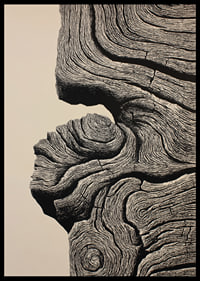 Organic lines create a sense of timeless elegance-6