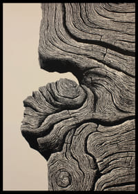 Organische lijnen creëren een gevoel van tijdloze elegantie-2