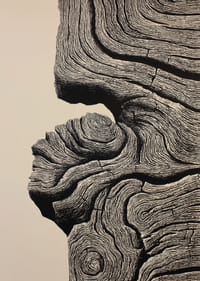 Organische lijnen creëren een gevoel van tijdloze elegantie-3