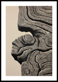 Organische lijnen creëren een gevoel van tijdloze elegantie-0