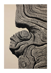 Organic lines create a sense of timeless elegance-1