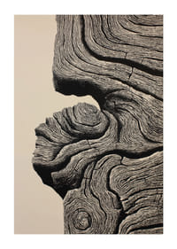 Organische lijnen creëren een gevoel van tijdloze elegantie-1