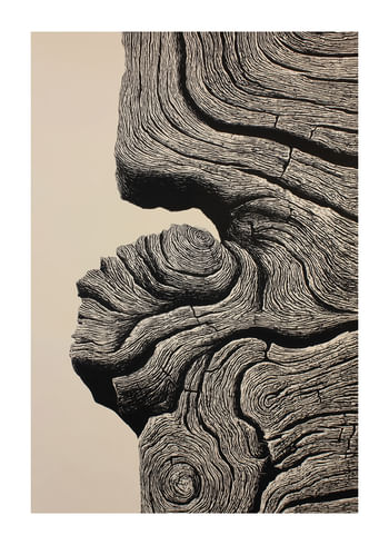 Poster Grain Of Life