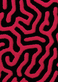 Des lignes vibrantes dansent dans des contrastes vibrants-7