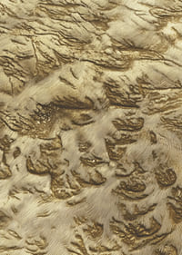 Las dunas de arena dorada crean un paisaje desértico de ensueño-3