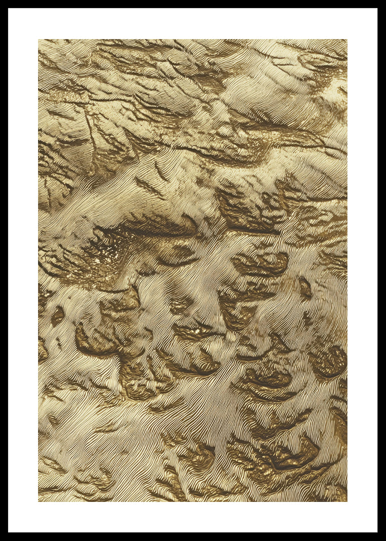 Las dunas de arena dorada crean un paisaje desértico de ensueño-12