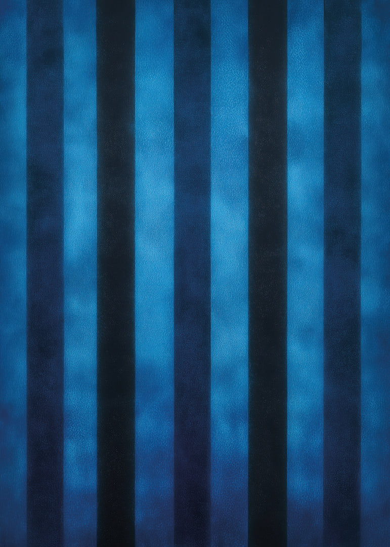 Des rayures bleu foncé créent un motif hypnotique-12