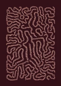 A hypnotic labyrinth of curves and patterns fascinates the viewer-3