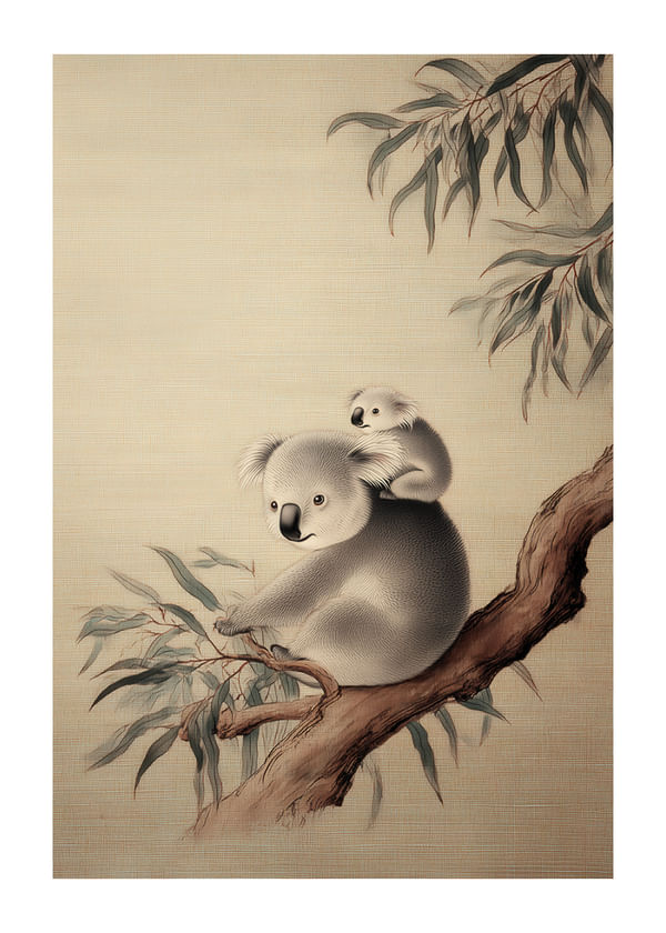 Póster Koala Serenity