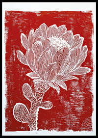 Une fleur blanche sur fond rouge crée un effet saisissant.-0