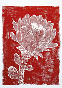 Une fleur blanche sur fond rouge crée un effet saisissant.-1