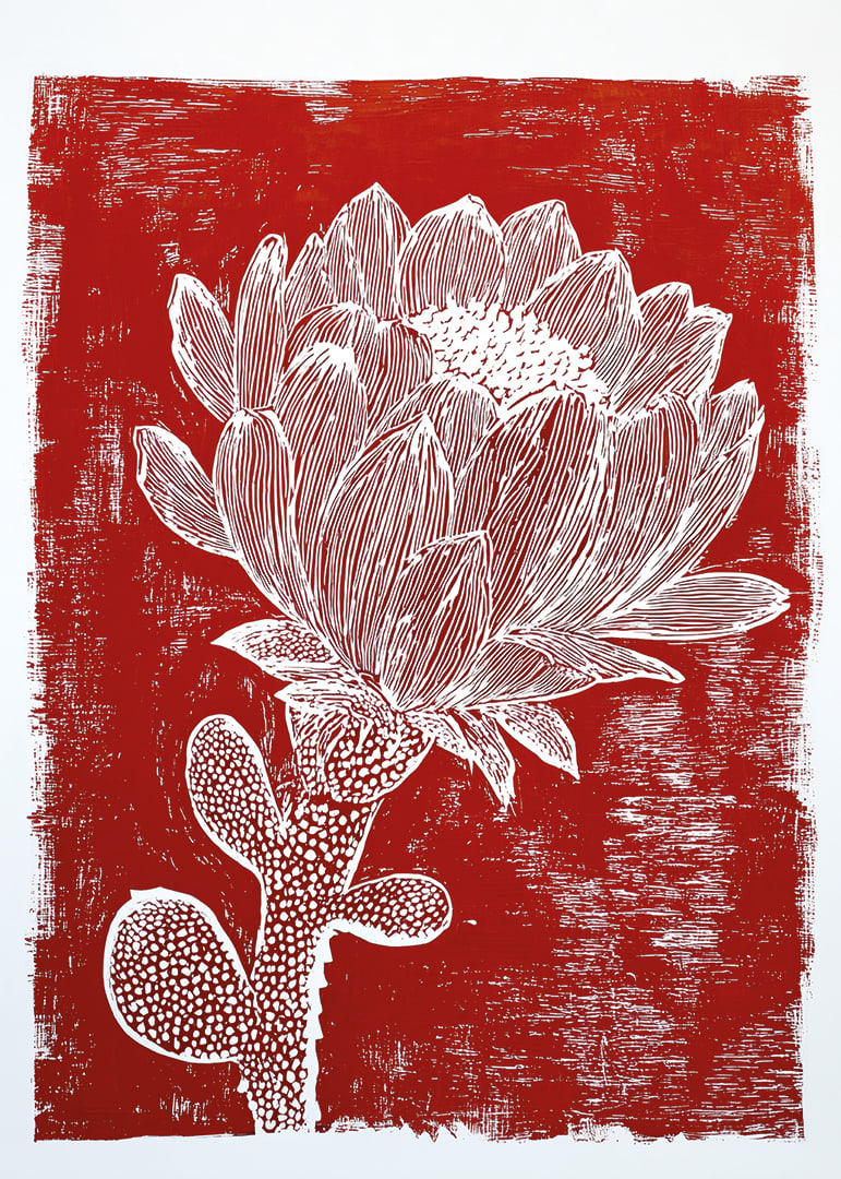 Une fleur blanche sur fond rouge crée un effet saisissant.-12