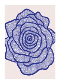 Una rosa blu risalta alla vista con linee eleganti.-1