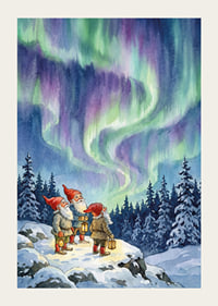 Gnomer förtrollade av aurorans himmelsdans-3