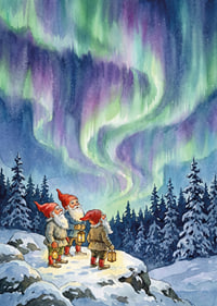 Gnomer förtrollade av aurorans himmelsdans-7