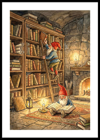 Two elves reading in a cozy library-0