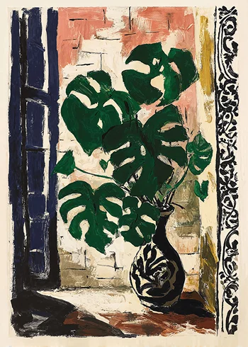 Poster Swiss cheese plant