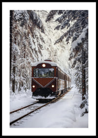 A train creates magic in the winter landscape.-0